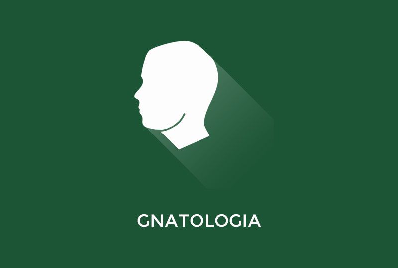 Gnatologia